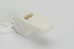 自宅で効率的に筋力をトレーニング！バランスボール活用術を徹底解説！